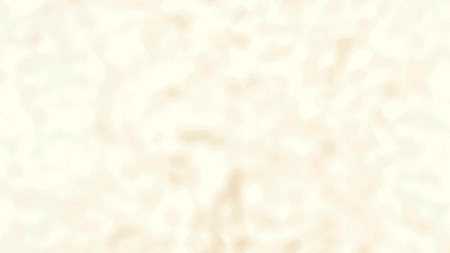 MINT x BOBBY BONILLA