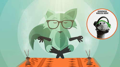 MINT MOBILE TUTORIALS