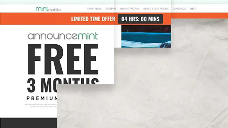 reggies_announcemint_06b copy