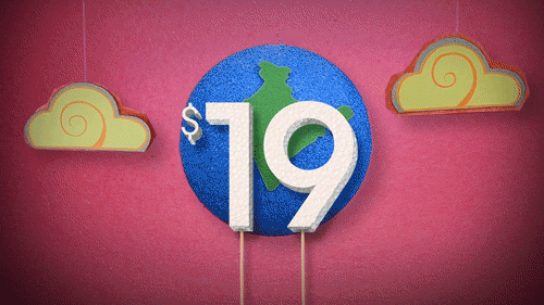 THE NEW $19 TO INDIA